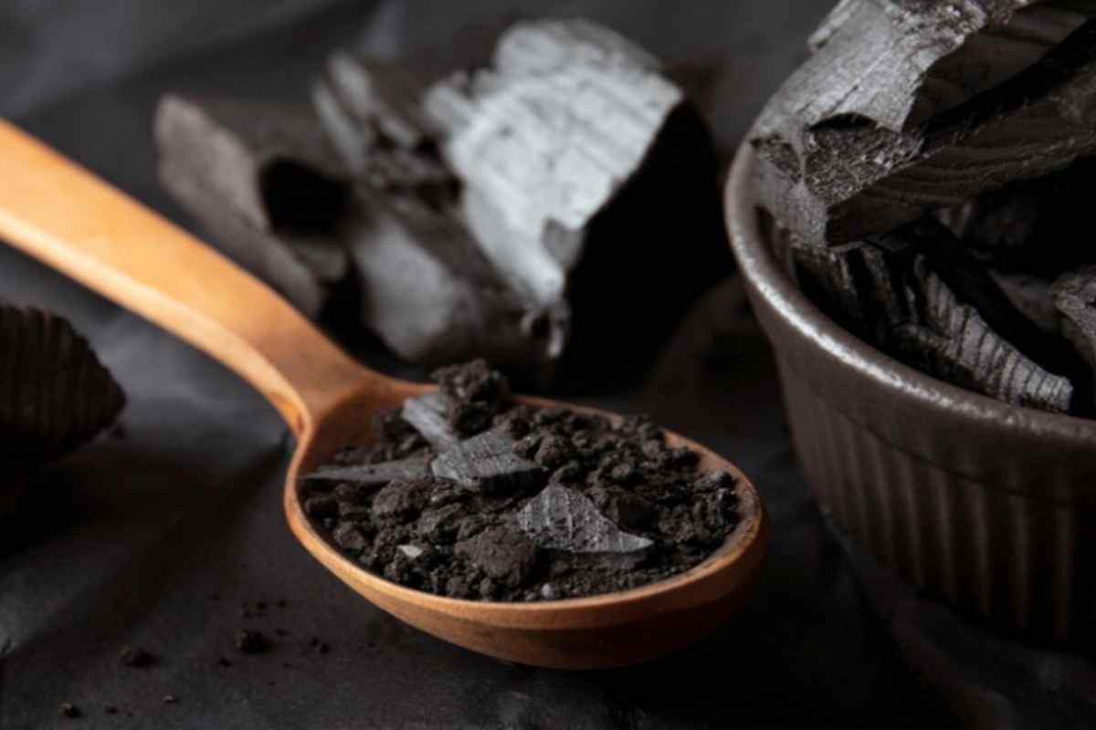 Le shilajit augmente-t-il la testostérone ?