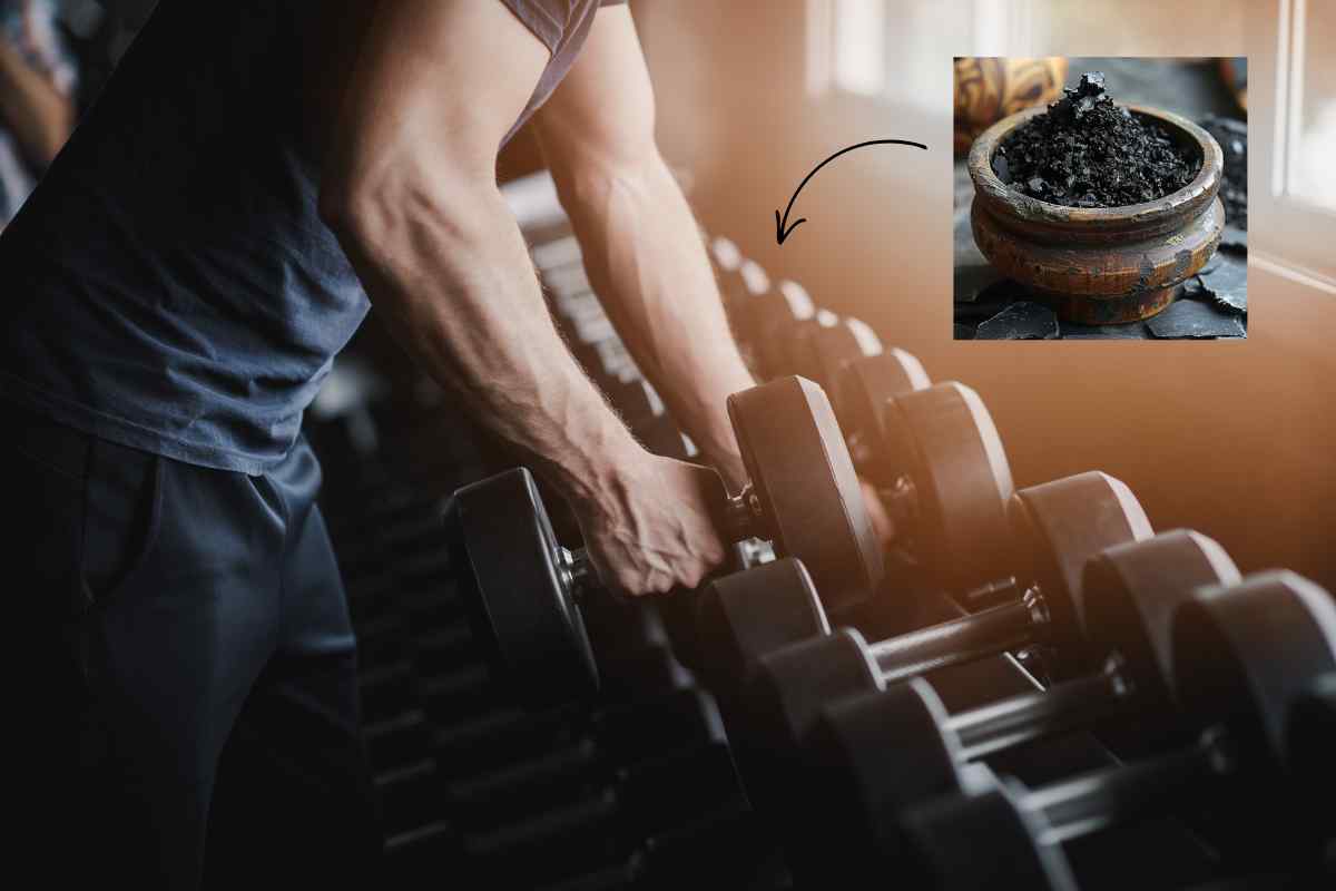 Le shilajit est-il bon pour la musculation ?
