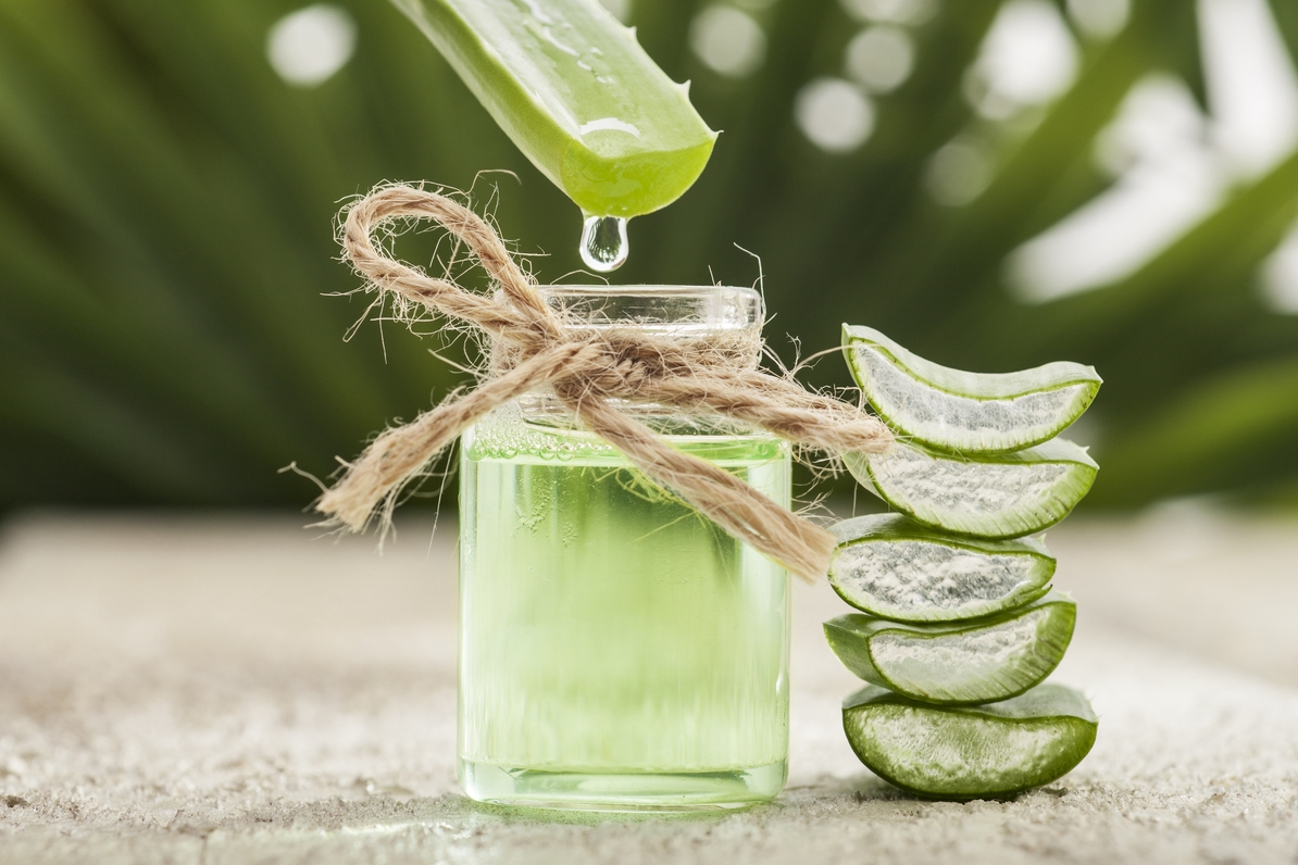 Boisson à l’aloe vera : est-ce efficace pour maigrir ?