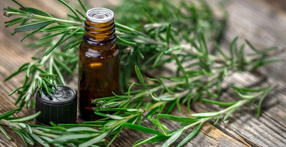 Comment appliquer l'huile essentielle de cèdre sur le ventre pour brûler les graisses