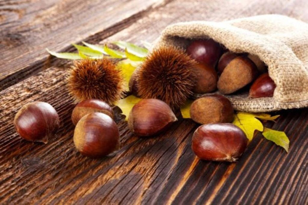 Les châtaignes